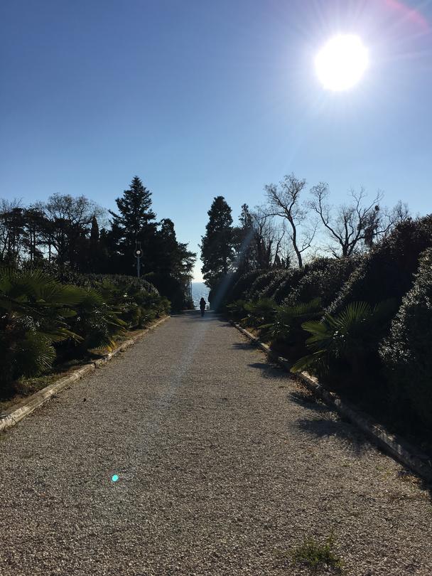 Министър Павлова откри реставрирания дворец „Евксиноград“ и парковото пространство към него - 9