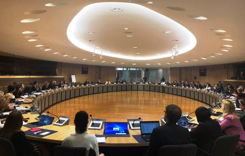 Зам.-министър Деница Николова: Нужна е по-голяма видимост на резултатите от изпълнението на Дунавската стратегия и стратегическа визия за бъдещето й - 1