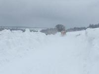 По разпореждане на министър Павлова допълнителна техника е пренасочена към две села с частично бедствено положение в Община Долни Чифлик