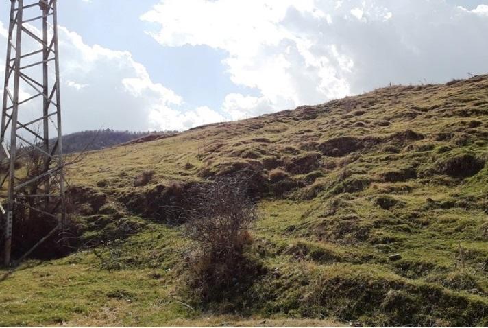 с. Джулюница