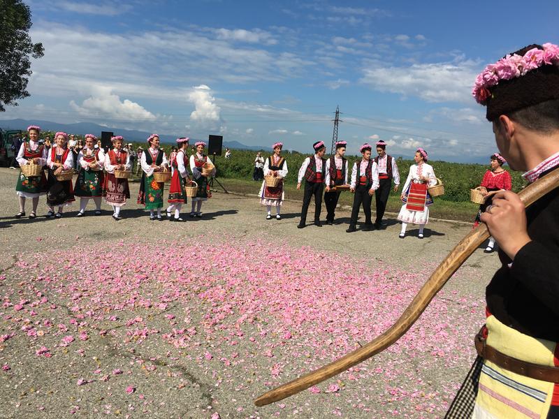  Министър Лиляна Павлова се включи в ритуала „розобер“ в розовите полетата край Казанлък  - 9