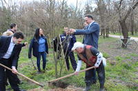 Министър Павлова се включи в инициатива за залесяване