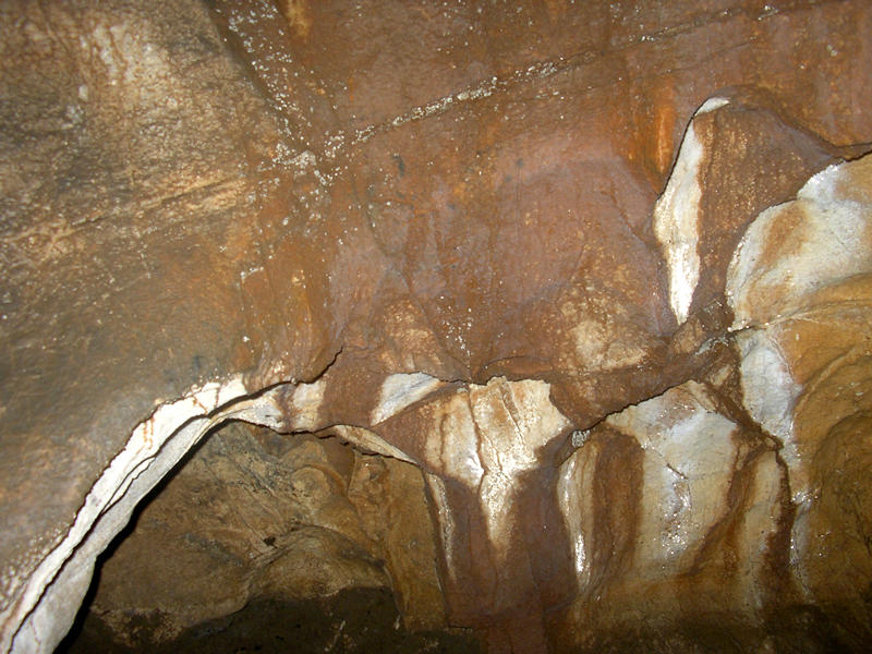 С над 3,5 млн. лв.  развиват пещерния туризъм в Родопите и изучават колониите от прилепи по поречието на река Места