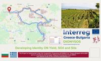 With the promotion of old local vineyards and modernized wine cellars we attract enotourists to the border region between Bulgaria and Greece