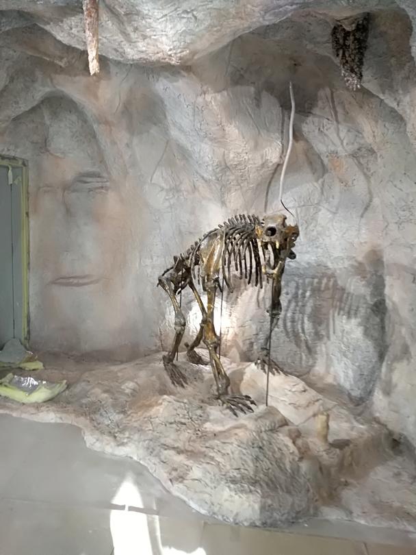 С над 3,5 млн. лв.  развиват пещерния туризъм в Родопите и изучават колониите от прилепи по поречието на река Места - 2