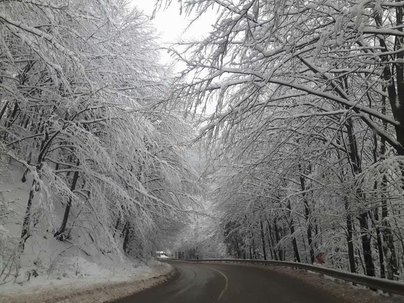 Над 620 машини обработват пътните настилки. Всички републикански пътища са проходими - 2