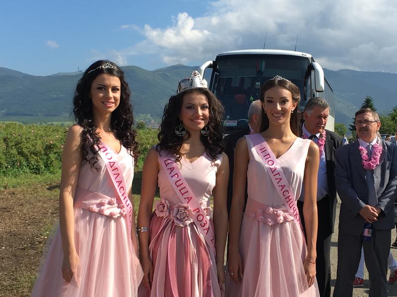  Министър Лиляна Павлова се включи в ритуала „розобер“ в розовите полетата край Казанлък  - 2