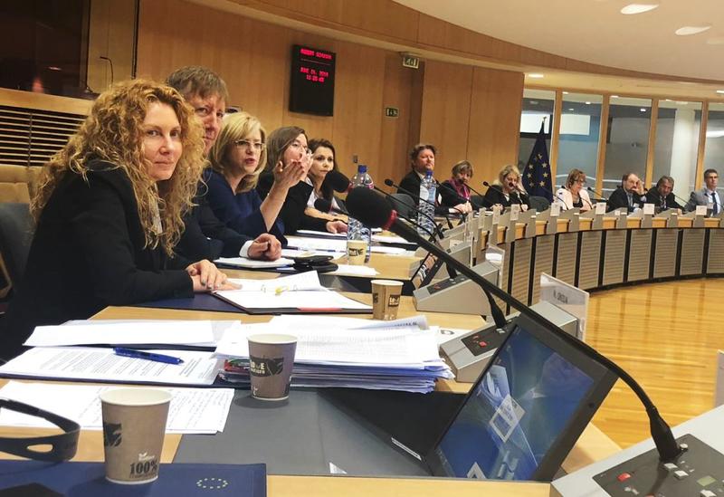 Зам.-министър Деница Николова: Нужна е по-голяма видимост на резултатите от изпълнението на Дунавската стратегия и стратегическа визия за бъдещето й