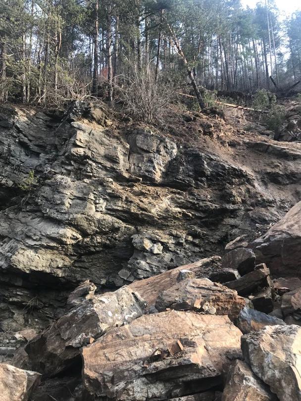 До 10 дни ще бъде готов обходният маршрут на затворения от срутище участък от пътя Смолян – Мадан - 3