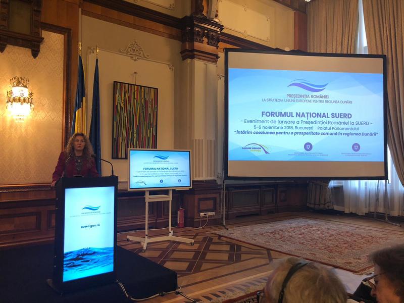 Зам.-министър Деница Николова: Намаляването на различията в Дунавския регион трябва да е водещ приоритет - 3