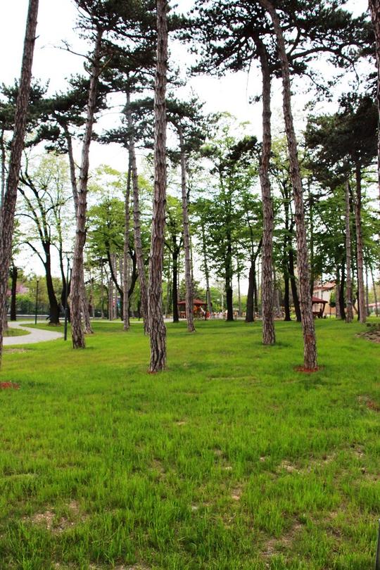  Министър Лиляна Павлова откри обновения парк на Карлово - 4