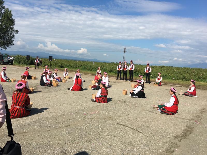  Министър Лиляна Павлова се включи в ритуала „розобер“ в розовите полетата край Казанлък  - 5