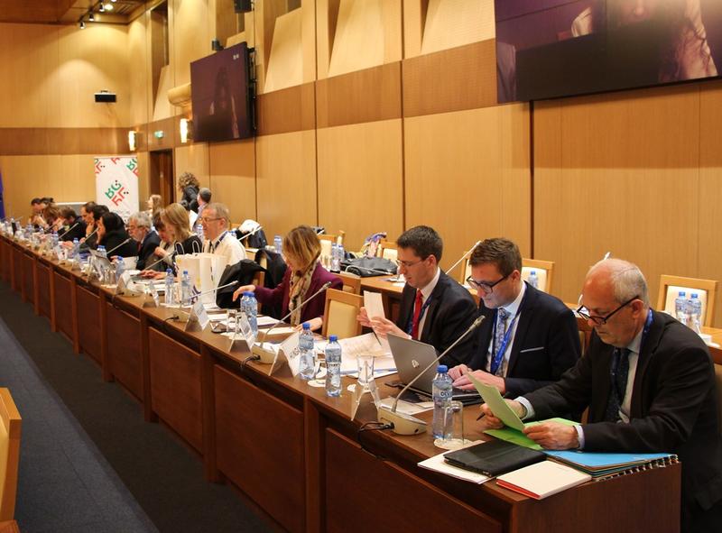 Deputy Minister Denitsa Nikolova: The future financial framework of the EU should include financing for small towns and big cities - 1