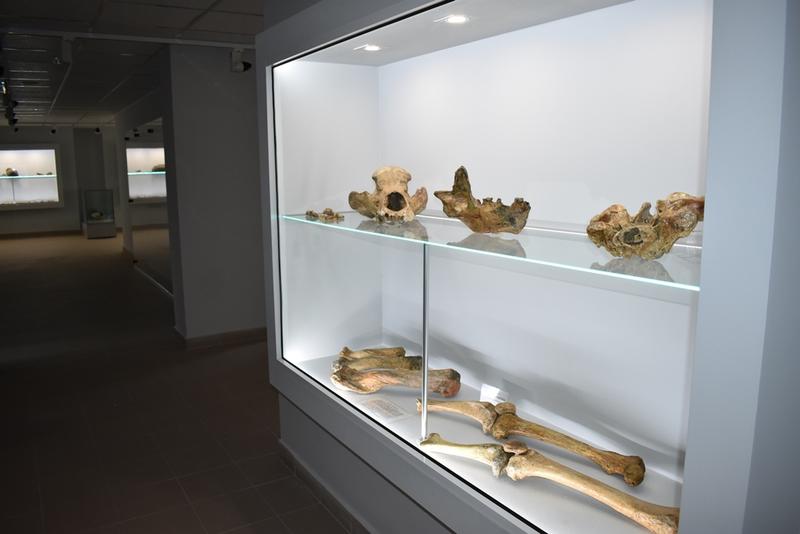 Напълно обновен, единственият по рода си музей на пещерното дело в Югоизточна Европа, очаква туристи в Чепеларе - 3