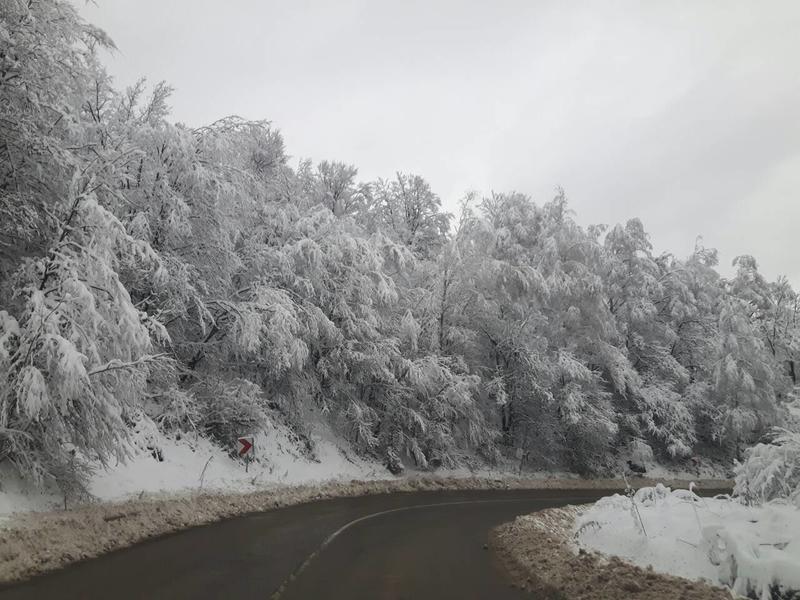 Над 620 машини обработват пътните настилки. Всички републикански пътища са проходими - 4