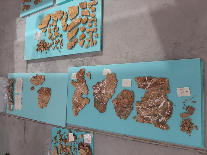 Експозиция