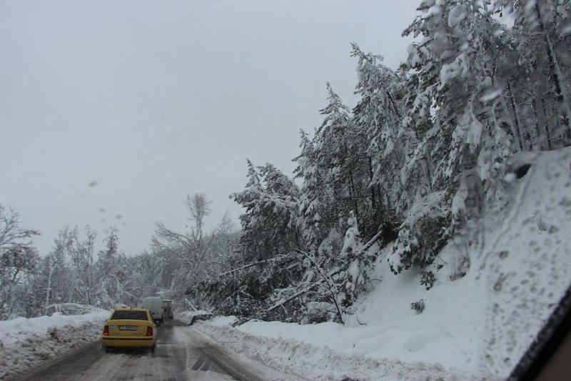 Министър Павлова пое координацията по разчистване на пътя Хасково – Кърджали - 13