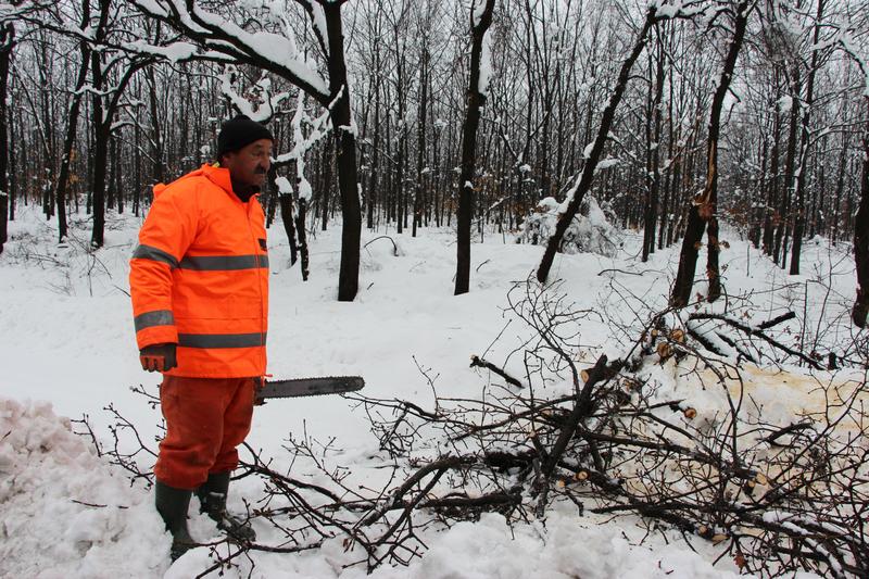 Министър Павлова пое координацията по разчистване на пътя Хасково – Кърджали - 2